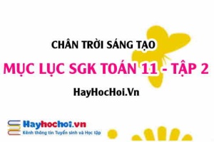 Mục lục SGK Toán 11 tập 2 Chân trời sáng tạo - Lý thuyết và bài tập Toán 11 tập 2 Chân trời sáng tạo
